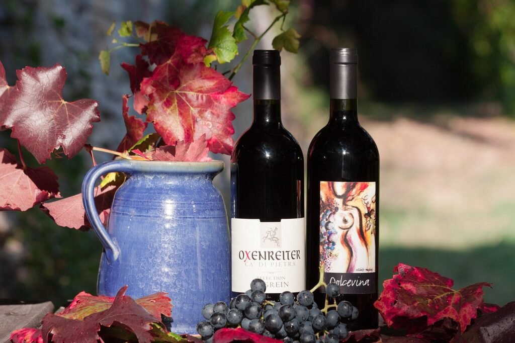 wine, bottle, label, grape, leaf, wine harvest, viticulture, plant, fall, vase, volume, nature, autumn colors